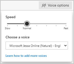 Brightspace - screenshot of voice options