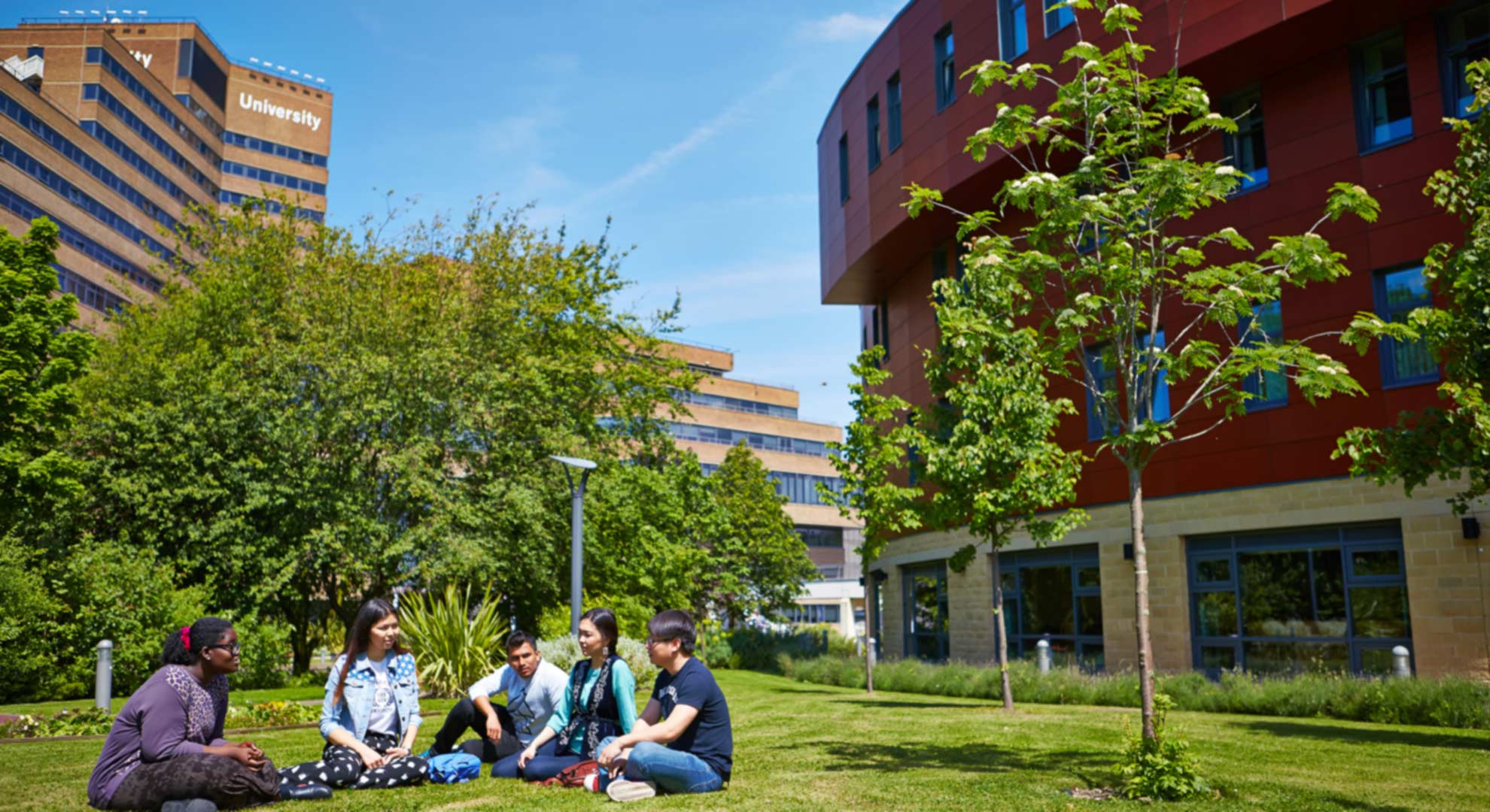 A group of students sitting under trees at the University of Huddersfield